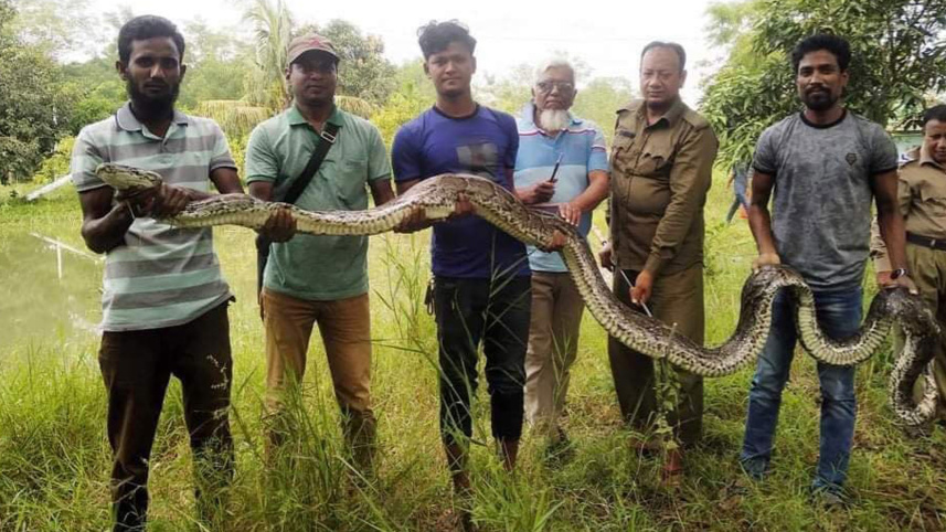 python_22oct21.jpg