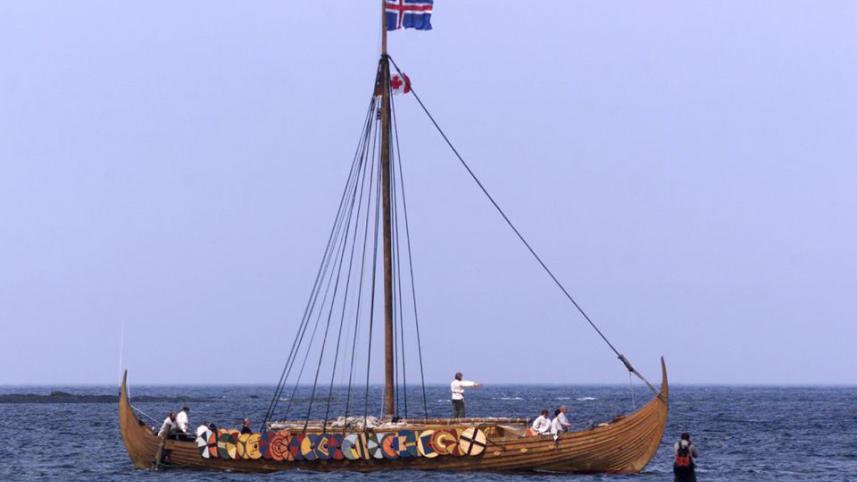 vikings.jpg