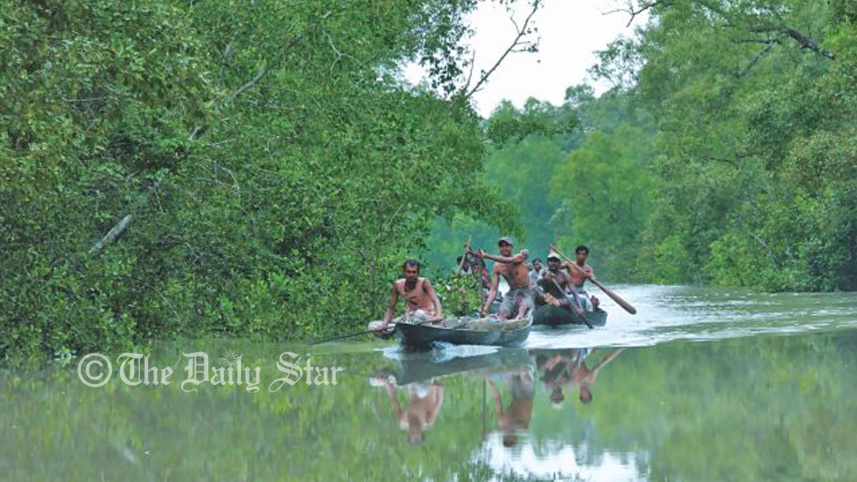 sundarbon.jpg