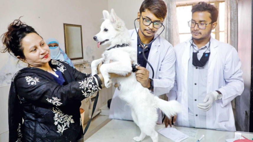 veterinary_hospital_2.jpg