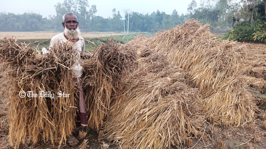 lalmonirhat_sharecroper-01.jpg
