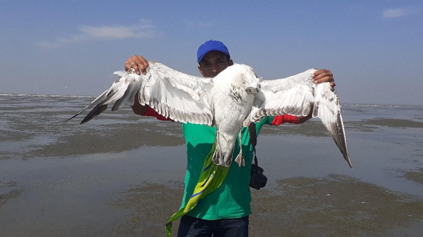 patuakhali_pic_1.jpg