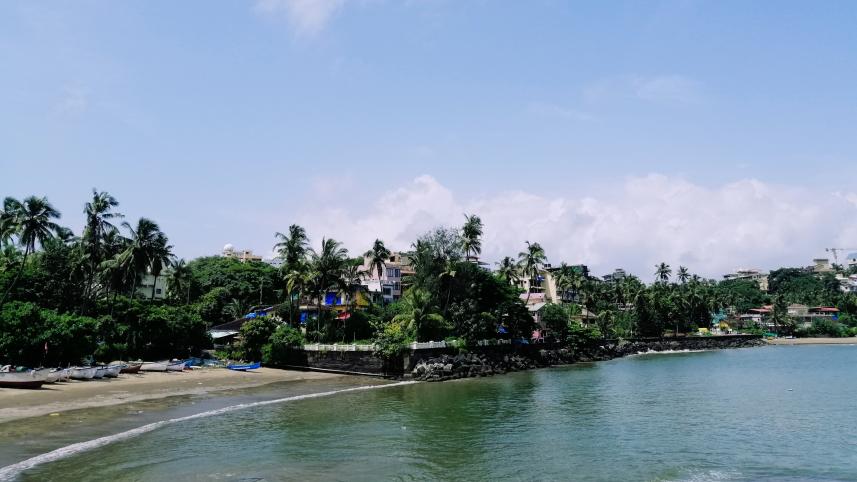 goa_4.jpg