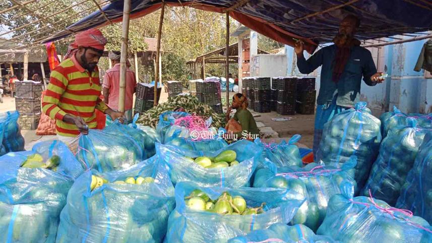 pabna_vegetable2_27dec21.jpg