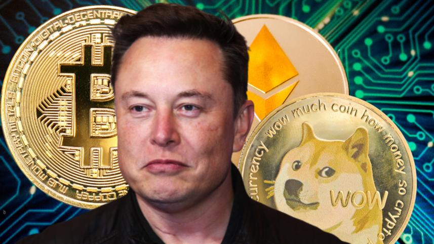 elon-musk-b-word.jpg