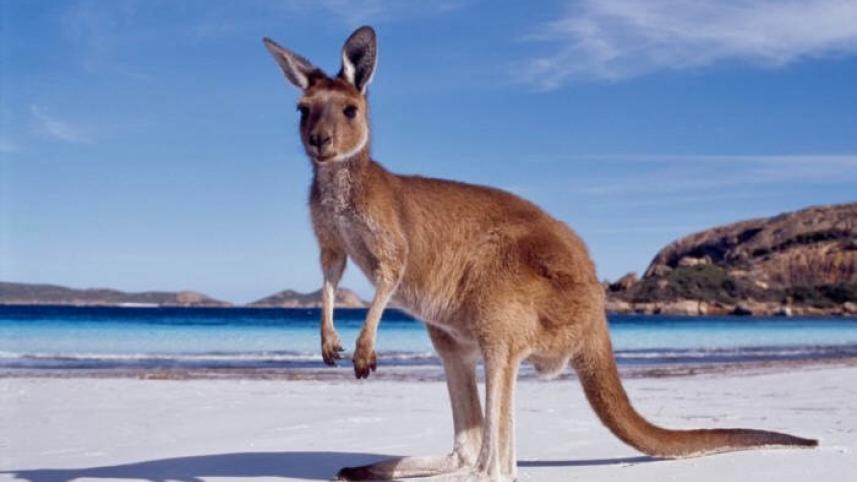 Australia