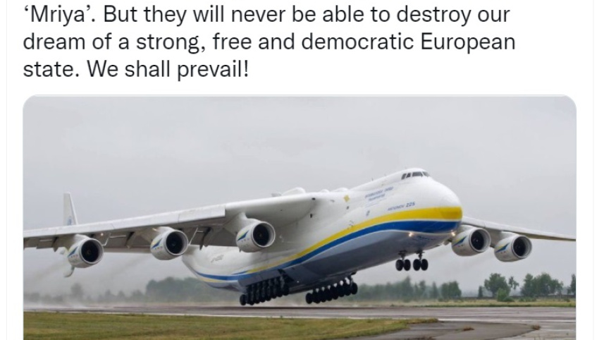 dimitri.jpg