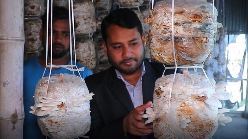 pabna_mushroom_photo-7.jpg