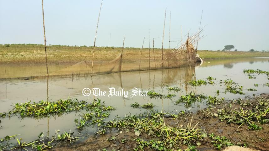 sutki_river_4_0.jpg