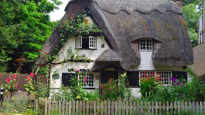 cottagecore-header.jpg