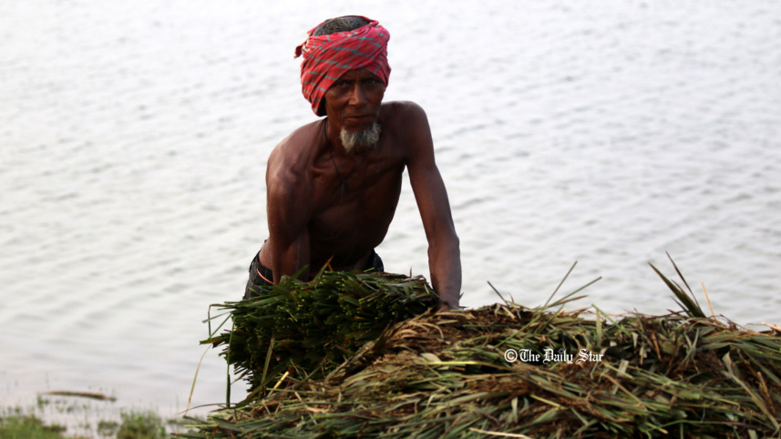 sylhet_haor_2_copy.jpg