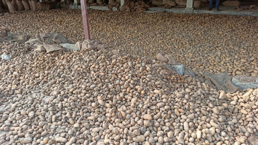potato_1.jpg