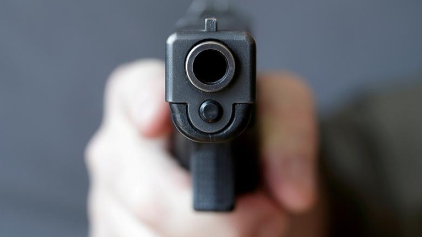 Gun