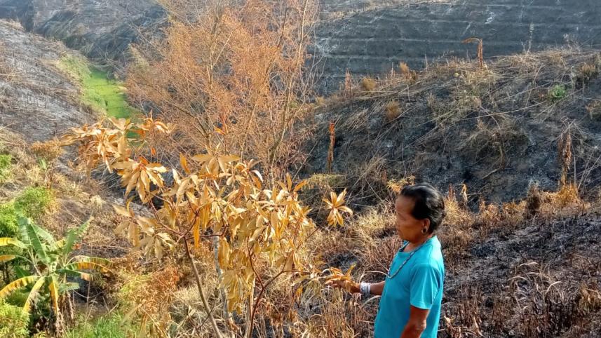 bandarban_jhum_garden_fire_photo_collected_1.jpg
