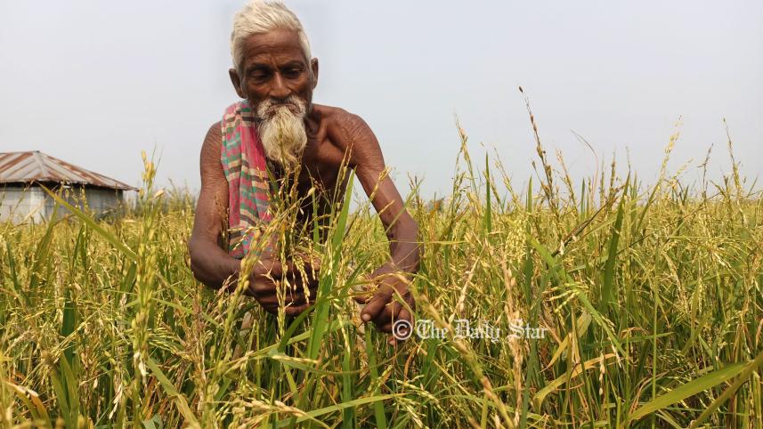 lalmonirhat_char1_2may22.jpg