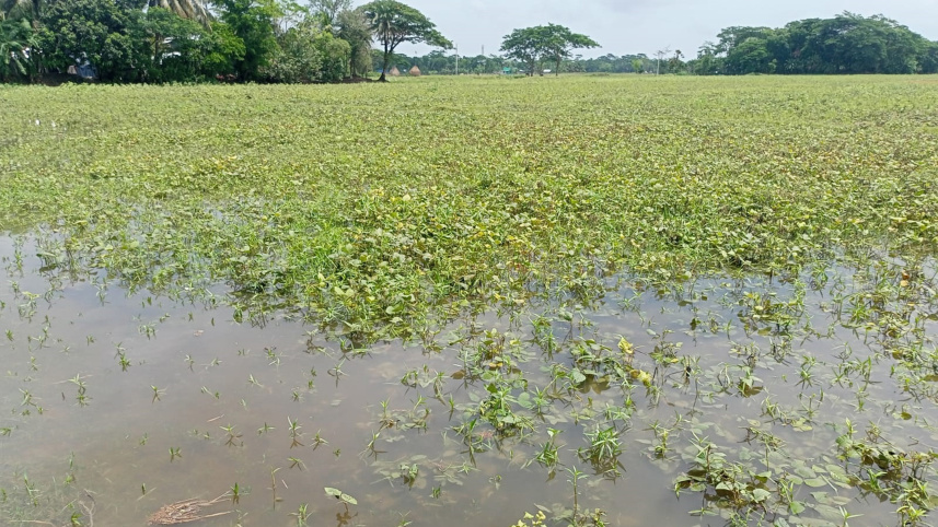 patuakhali_pic.jpg