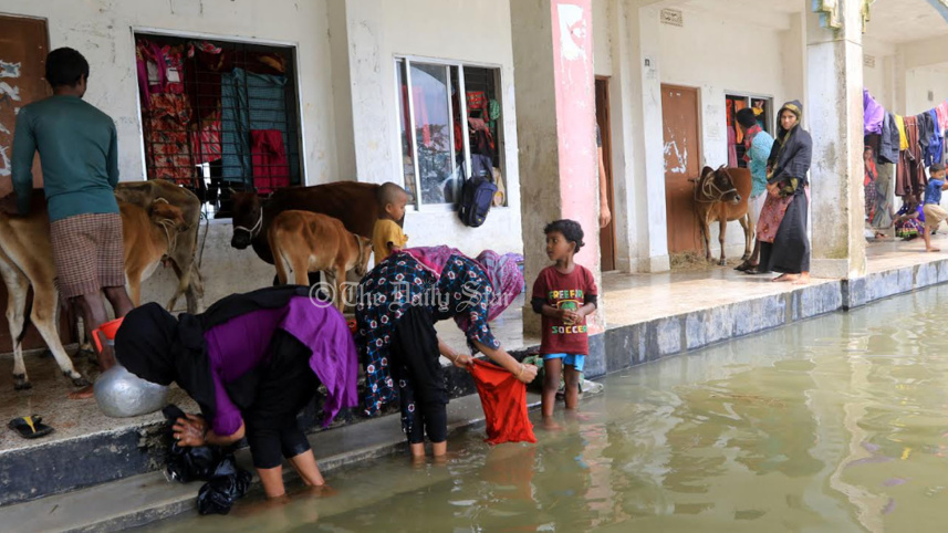 flood4.jpg