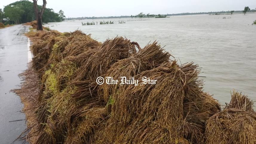 haor_fermers.jpg