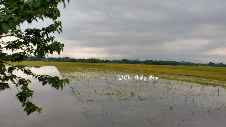 sunamganj_0.jpg