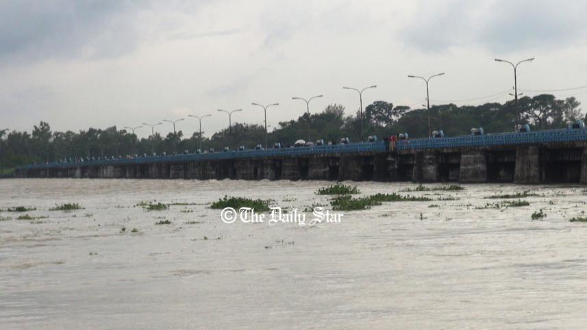 teesta.jpg