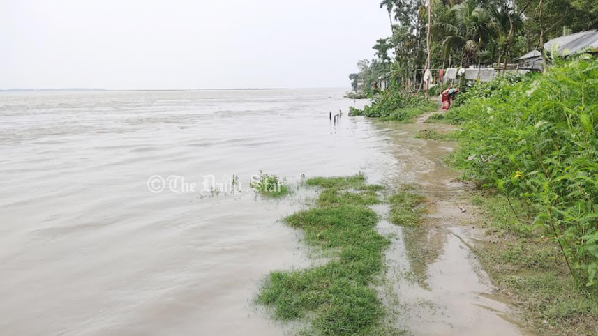 tangail2.jpg