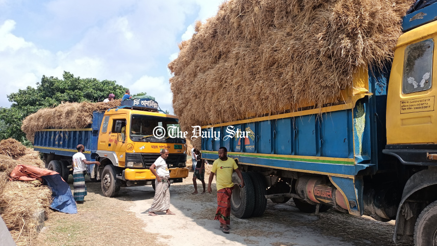 cattle_feed_2.jpg