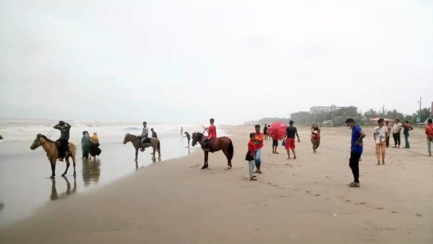 Horse