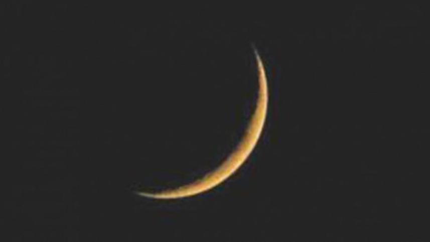 moonj-web.jpg