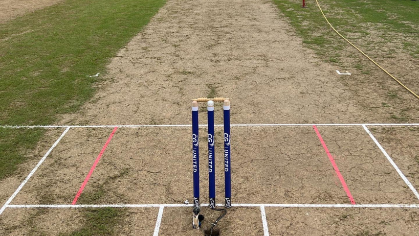 wicket.jpg