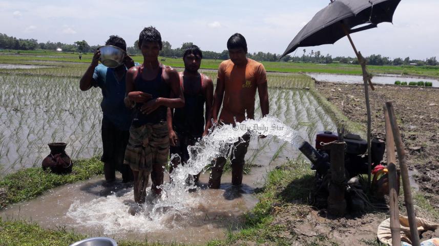 farmer_hot.jpg