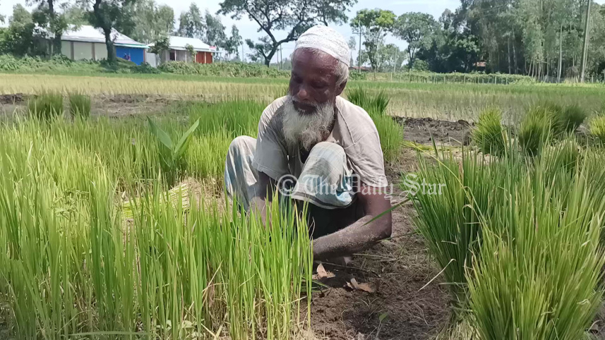 aman_4.jpg