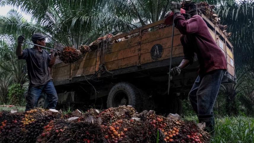 maalyyeshiyyaa.jpg