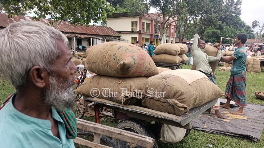 কৃষক