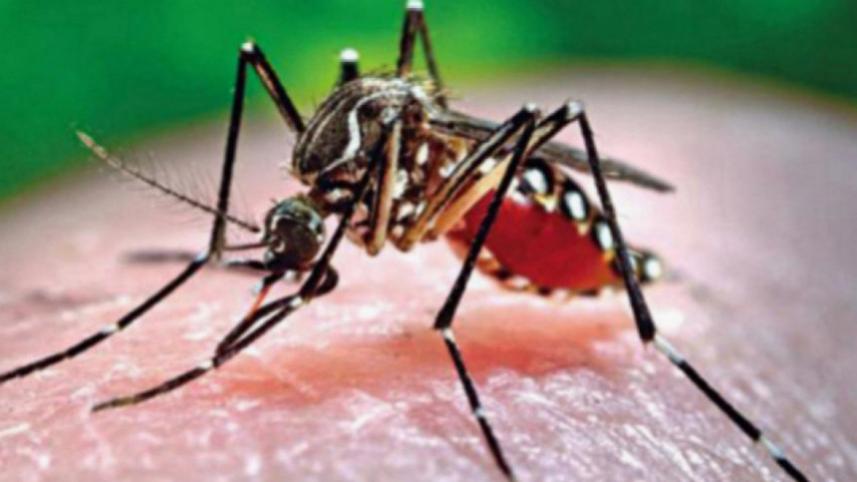 ডেঙ্গুতে মৃত্যু