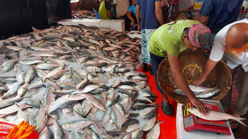 ilish_2.jpg
