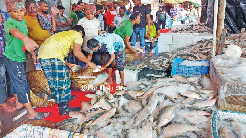 ilish.jpg