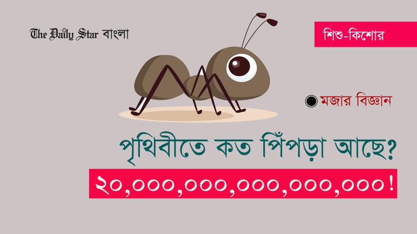 ant.jpg