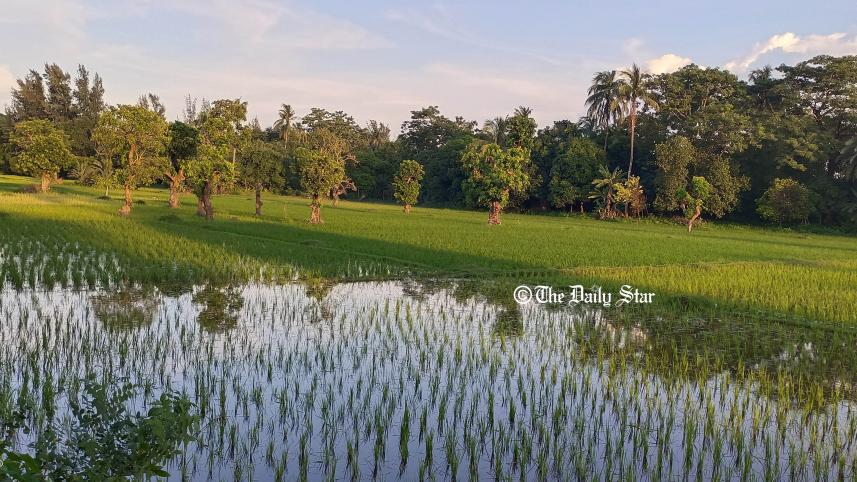 patuakhali1.jpg