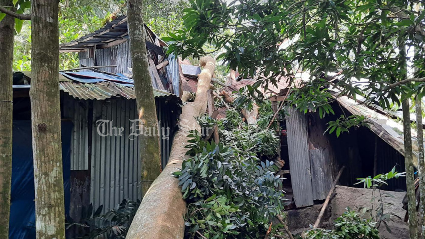 patuakhali.jpg