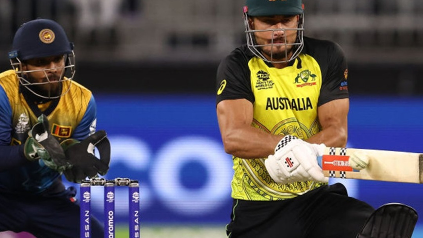 stoinis.jpg