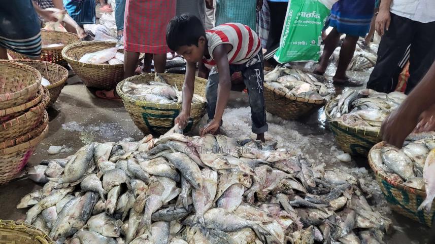 ilish.jpg