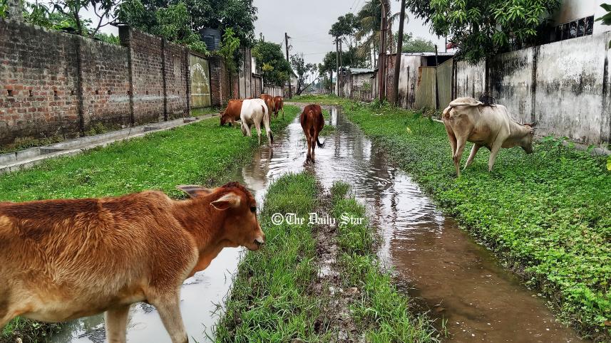 জামালপুর বিসিক