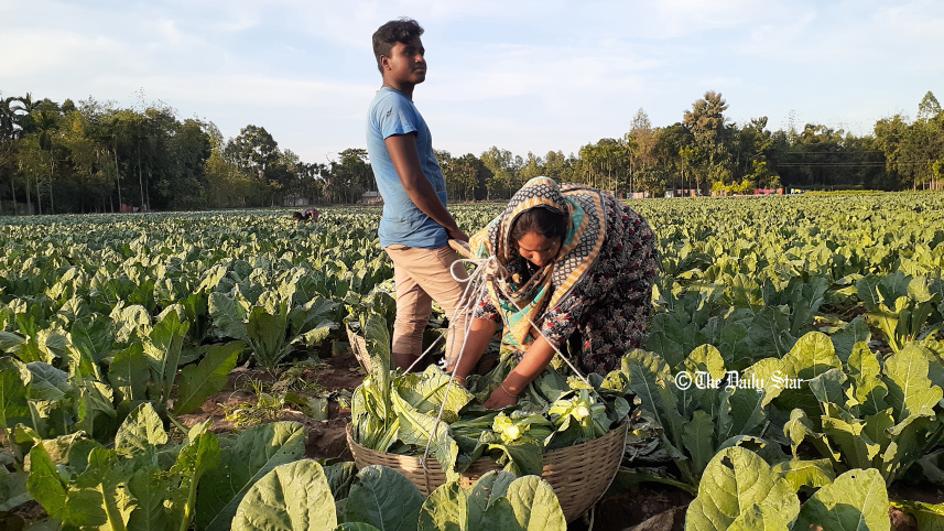 lalmonirhat.jpg