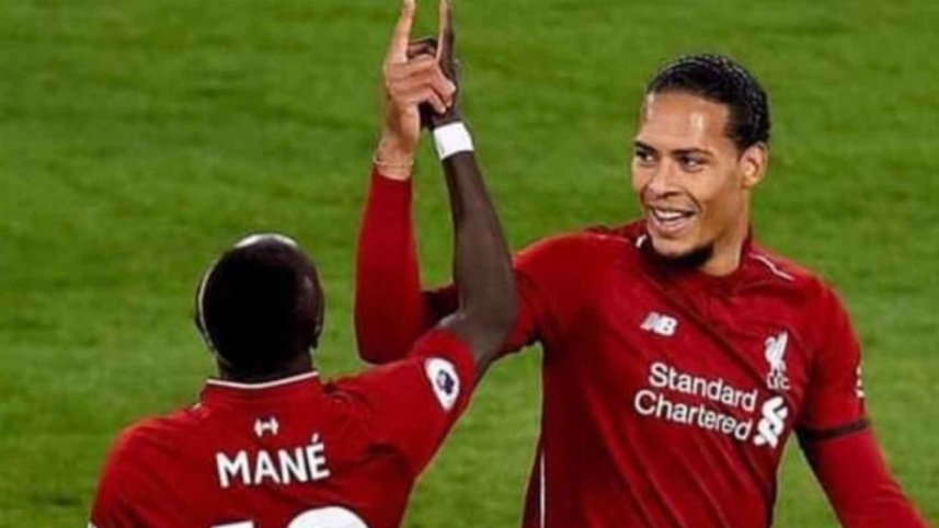 mane.jpg