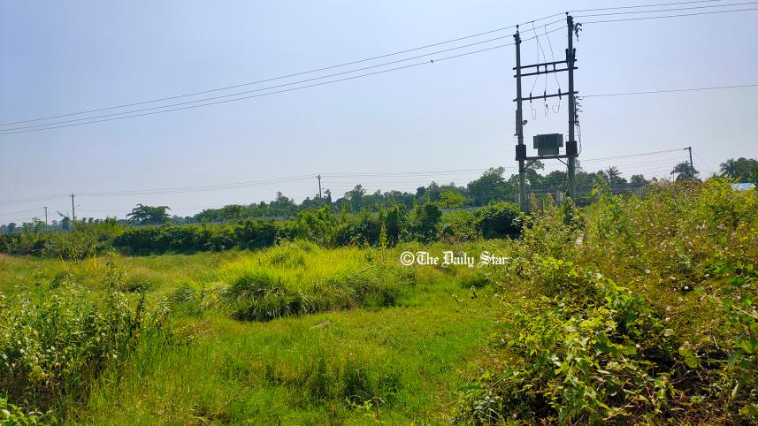 বিসিক