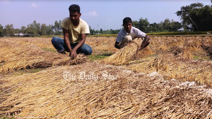 lalmonirhat.jpg