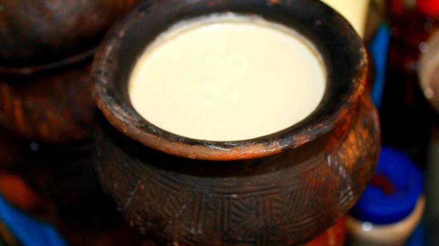 curd-difference-between-yogurt-and-curd.jpg