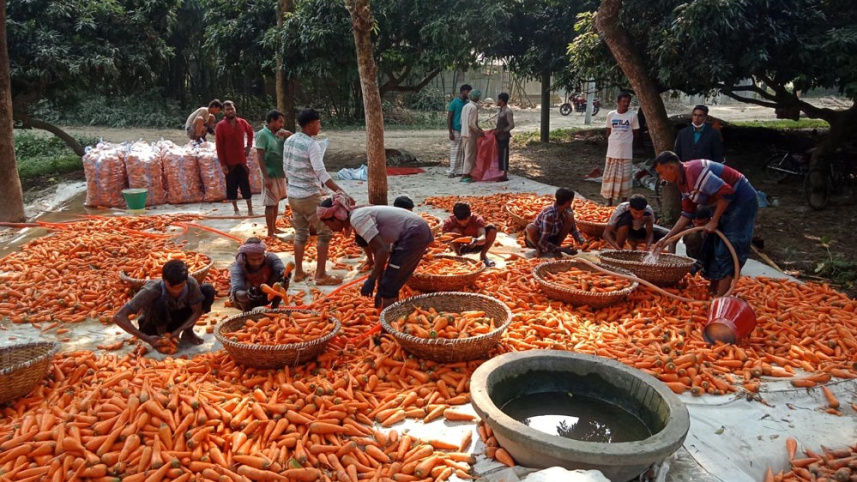 pabna-vegetable_photo-1.jpg