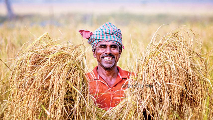 farmer.jpg