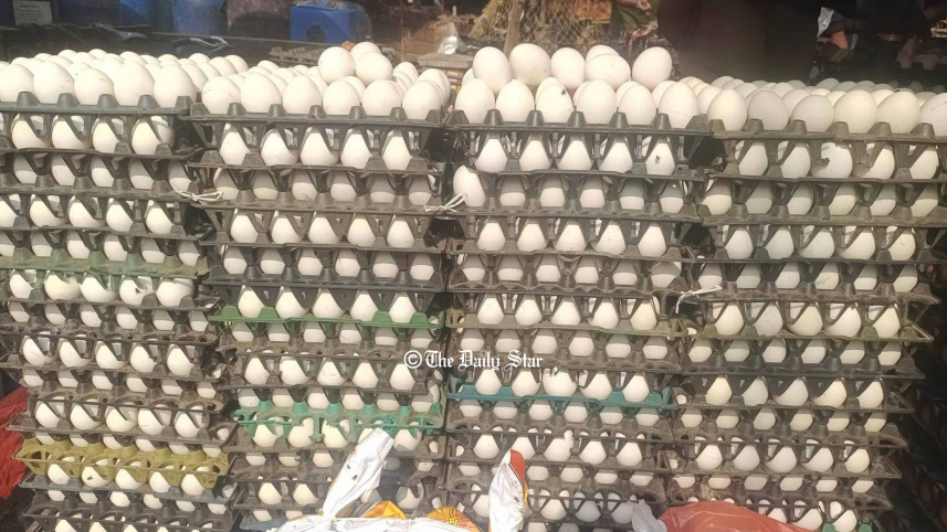 egg_ds.jpg